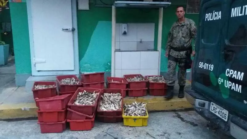 Peixes foram apreendidos por policiais da Upam de Maricá
