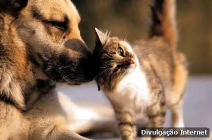 Os postos de vacinação estarão abertos amanhã entre 8h e 17h