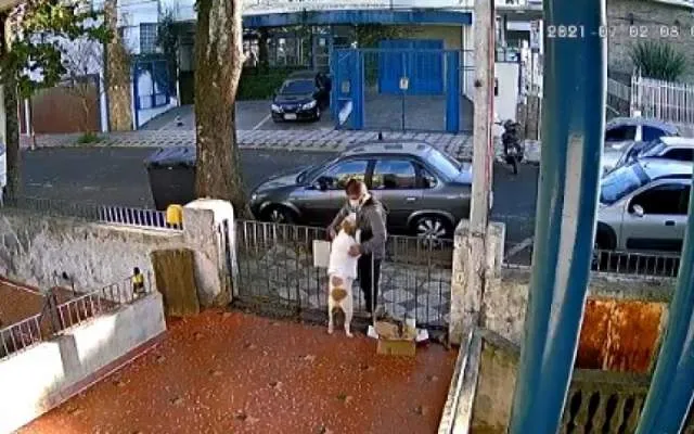 Cadelinha teve sua roupa roubada na última sexta-feira (2)