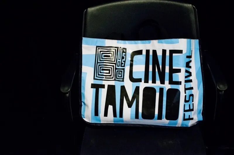A novidade deste ano é a nova categoria do Festival: melhor videoclipe