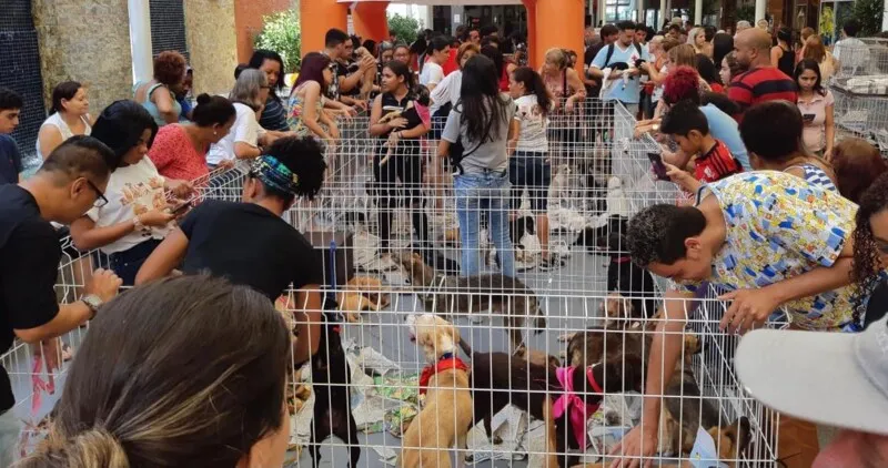 Evento será no próximo domingo 