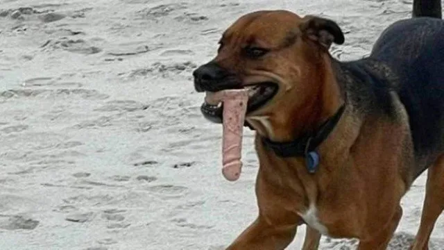 Barni gerou muitas risadas nas redes sociais