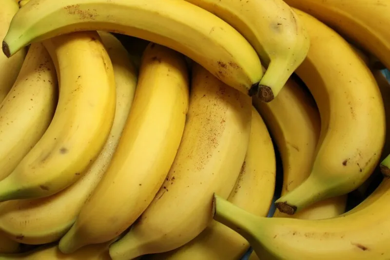 Brasil é o quarto maior produtor de banana do mundo