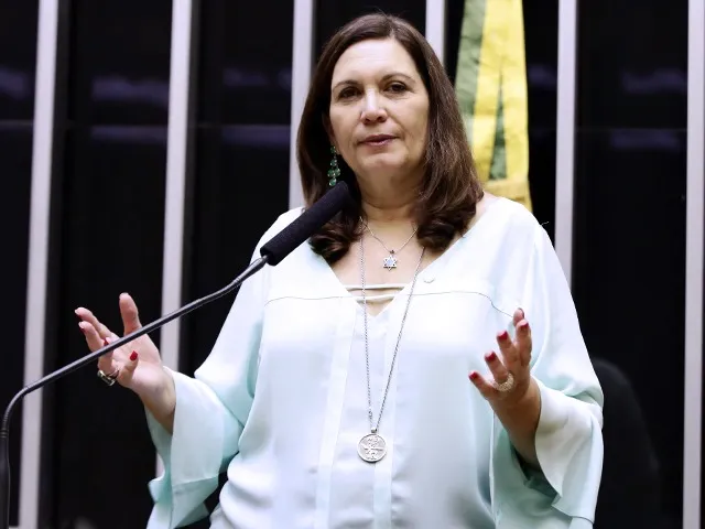 Bia Kicis é uma das autoras do projeto 