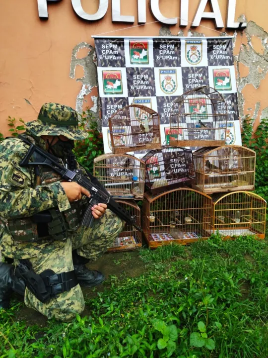 Ação foi realizada pelo Comando de Polícia Ambiental (CPAm)
