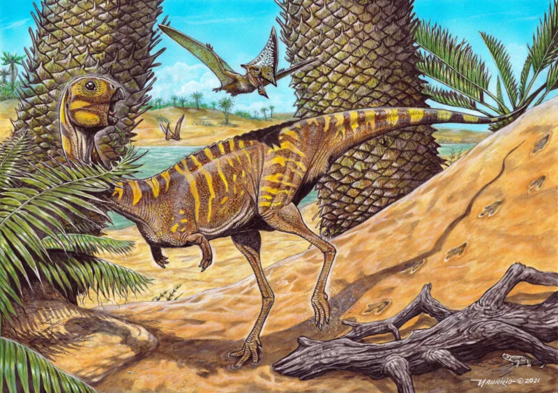 Reconstrução em vida da Berthasaura leopoldinae
