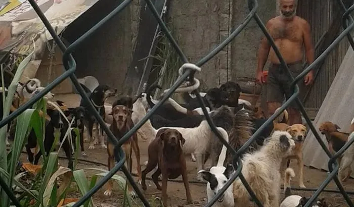 Protetor que cuidava de quase 200 animais em Itaboraí foi morto no último sábado (11)