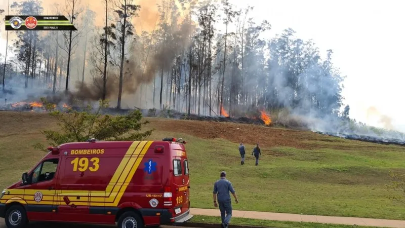 Queda do avião ocasionou um incêndio na região