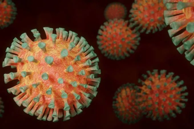 Virologistas ainda alertam sobre o perigo que a variante oferece.