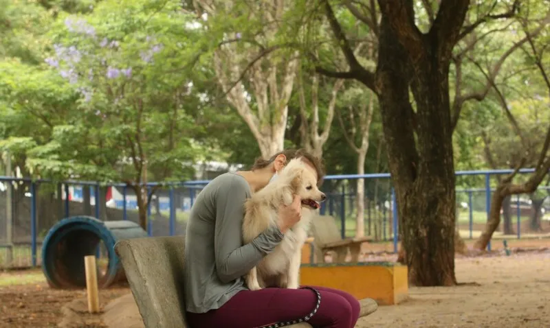 Muitos cães se assustam com os fortes barulhos