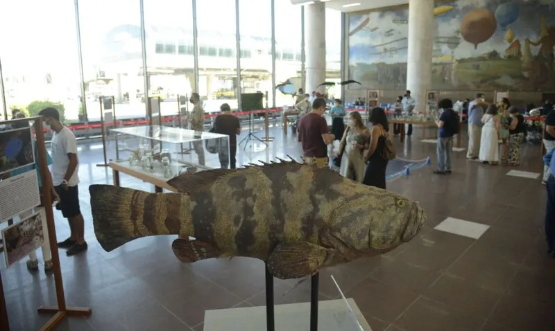 A exposição se encontra na saguão de desembarque do aeroporto.