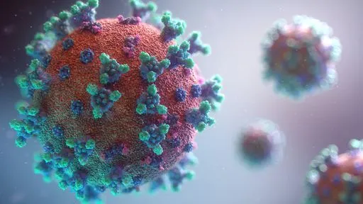 Veja os números da pandemia