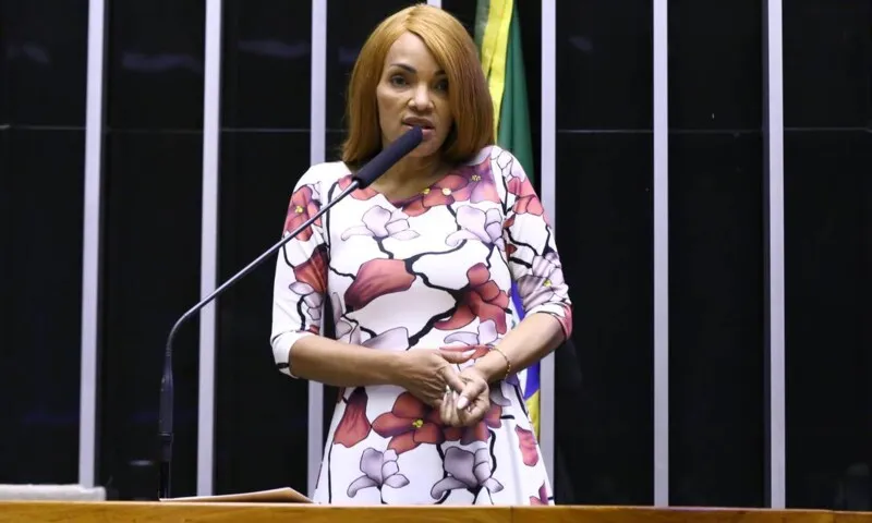 Desembargador negou pedido para prisão da ex-deputada