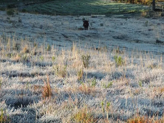 A previsão é de que ocorram chuvas fortes no fim de semana