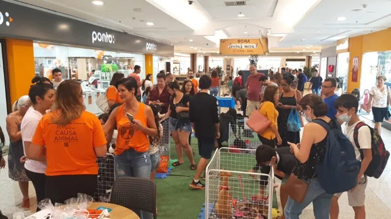 Os interessados em adotar um pet na feira deverão apresentar identidade, CPF e comprovante de residência, além de passar por uma entrevista e assinar um termo de responsabilidade