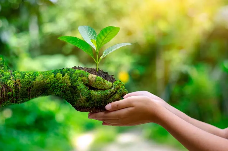 Dia Mundial do Ambiente é celebrado no dia 5 de junho