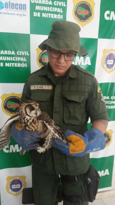 Animal estava com a asa machucada e foi encaminhado ao veterinário