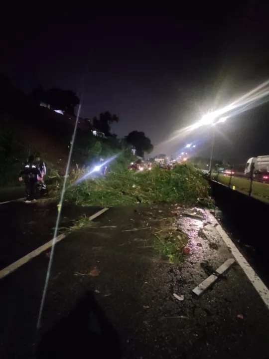 Queda de barreira obstruiu BR-101