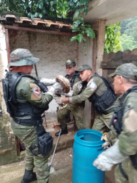 Animal foi resgatado em quintal de residência