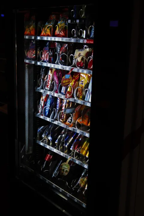 O estudo interdisciplinar ressalta que as características sensoriais dos alimentos ultraprocessados ativam o nosso sistema emocional