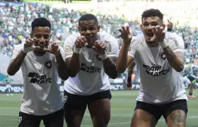 Botafogo vence Palmeiras com gol de Tiquinho