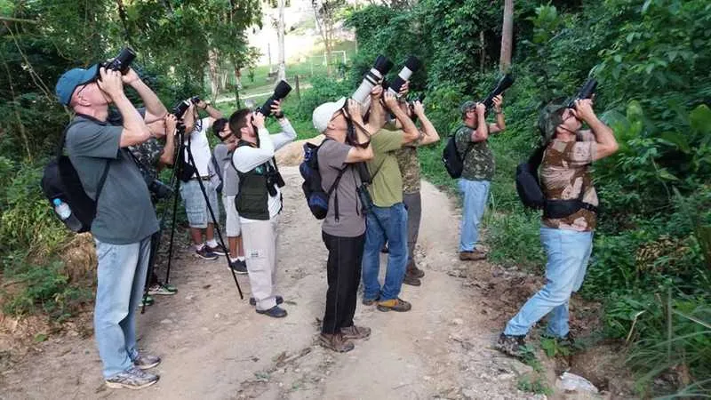 Os observadores percorreram o Caminho de Darwin e o Canal do Camboatá, entre outros roteiros