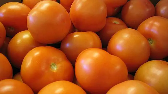 O tomate foi o produto que mais baixou de preço: quase 14%
