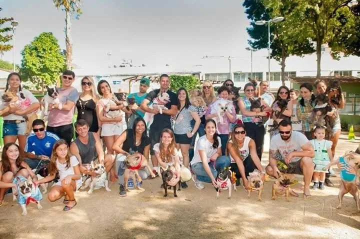  Buldogues serão as 'estrelas' do evento