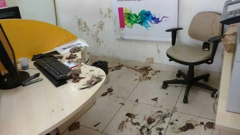 Cliente jogou peixe podre na loja e ameaçou os funcionários