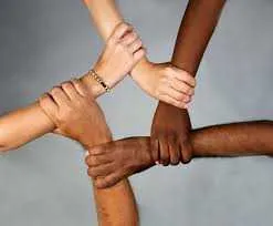 Imagem ilustrativa da imagem Ranking das faculdades com maior (e menor) diversidade racial