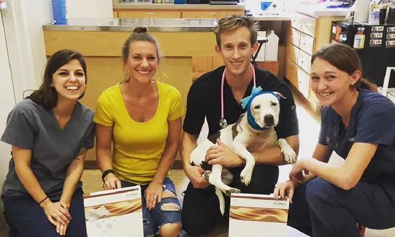 Abigail está se recuperando e deve passar ainda por uma nova cirurgia para então ser colocada para adoção