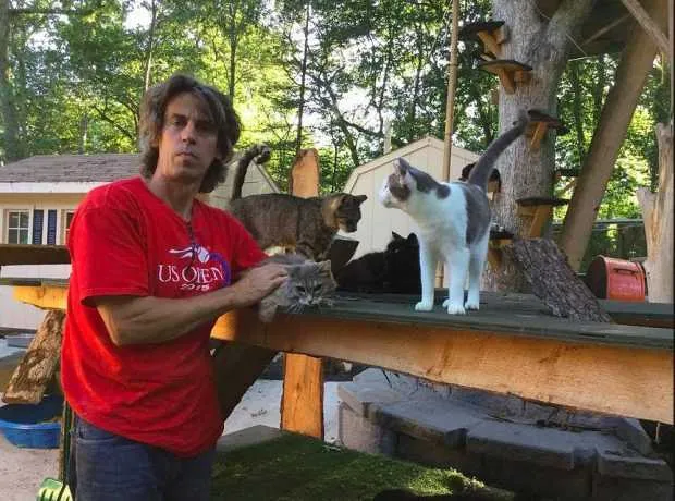 Imagem ilustrativa da imagem Homem transforma sua residência em santuário para 300 gatos