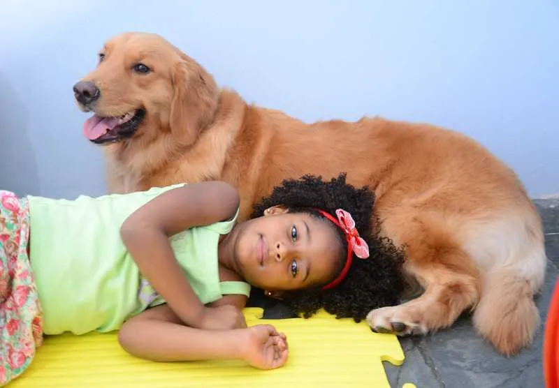 Imagem ilustrativa da imagem Clinica-escola do autista adota terapia com cães
