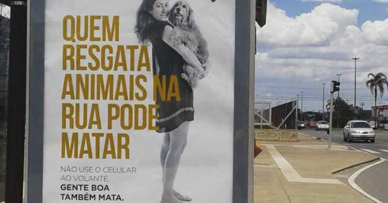 Imagem ilustrativa da imagem Planalto determina retirada 'imediata' de cartazes de campanha de trânsito