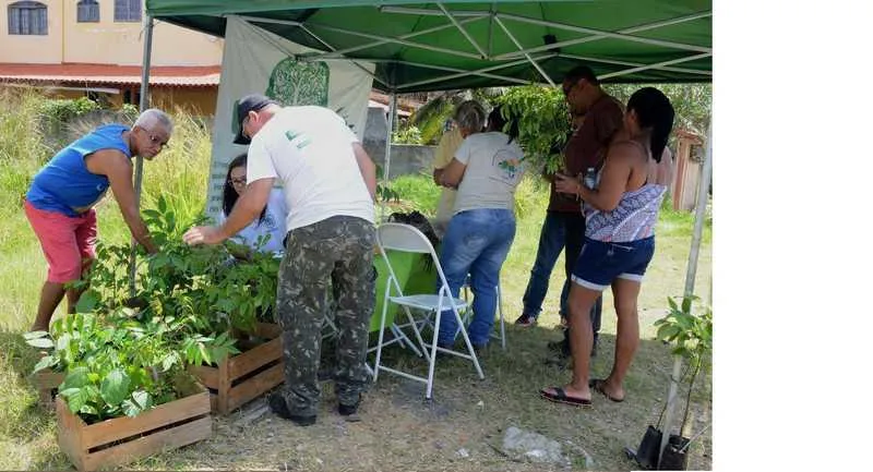  O projeto doa, semanalmente, mudas de espécies nativas da Mata Atlântica no município