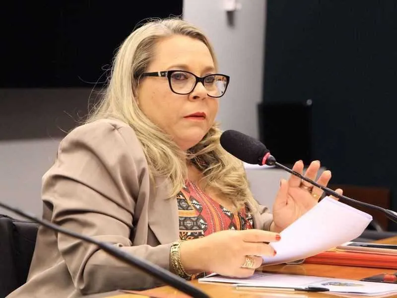 Rosinha da Adefal enumerou efeitos práticos da nova lei