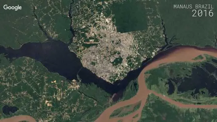 Imagem ilustrativa da imagem Estudo mostra regeneração de trechos da Mata Atlântica em nove estados