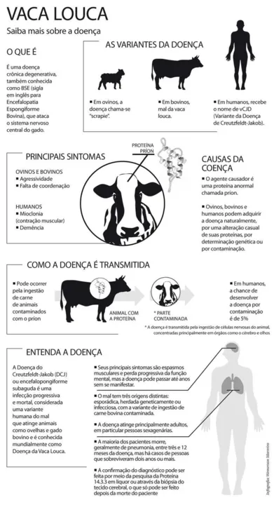 Imagem ilustrativa da imagem Quatro pessoas são internadas com suspeita de “Vaca Louca” no RJ