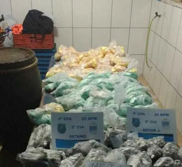Apreensão: seis mil pinos de cocaína e 496 tabletes de maconha