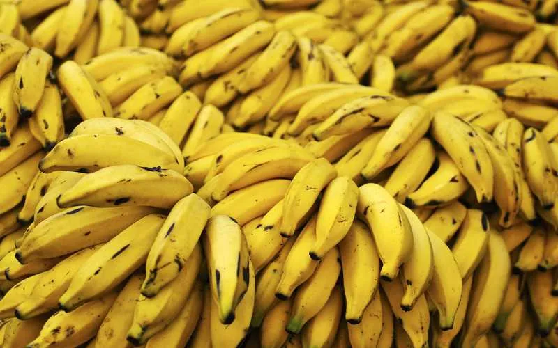 Quilo da banana teve redução de 6,12% na pesquisa de OSG