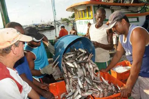 Objetivo do recadastramento é criar mecanismos para parcerias e qualificação dos pescadores
