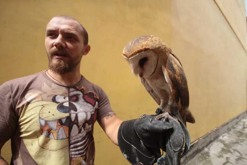 Imagem ilustrativa da imagem Biólogo tem um ‘zoo’ em casa no Galo Branco