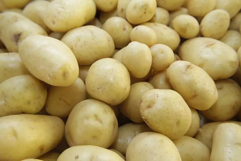 A batata é um dos principais produtos que estão mais baratos