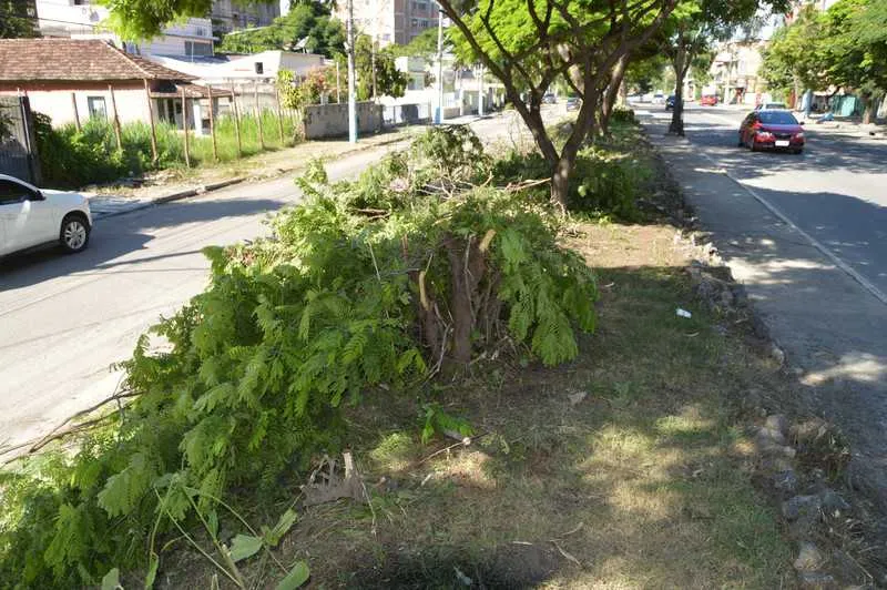 Funcionários da prefeitura podaram árvores no Jardim Alcântara