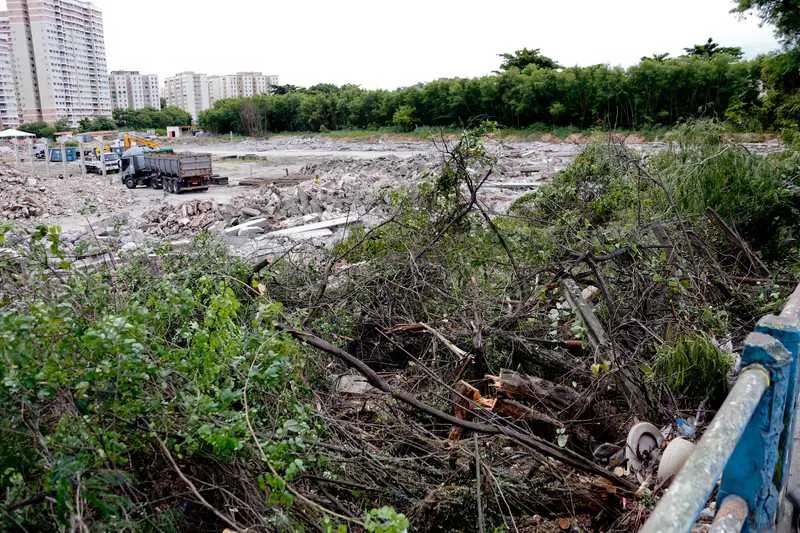 A empresa terá que realizar o plantio de 5.330 árvores em SG