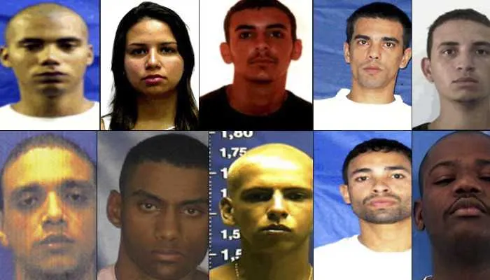 Imagem ilustrativa da imagem Uma ‘galeria’ nada louvável a serviço do crime na região