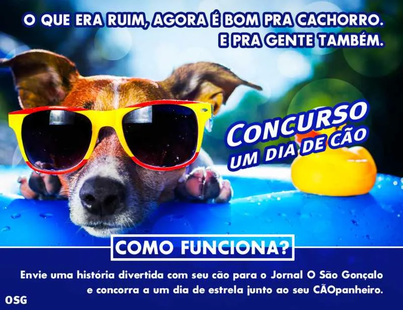 Imagem ilustrativa da imagem Regulamento da promoção 'Um Dia de Cão'