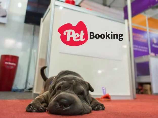 Imagem ilustrativa da imagem Aplicativo de serviços  aos ‘pets’ é sucesso