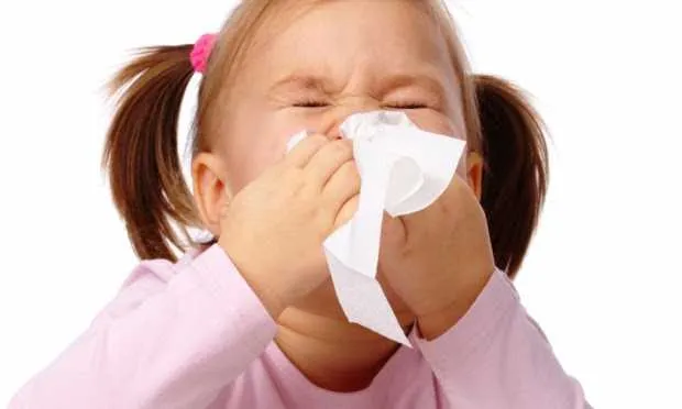  Poeiras e ácaros são os responsáveis pelos sintomas, que são espirros, tosses e até sangramento.