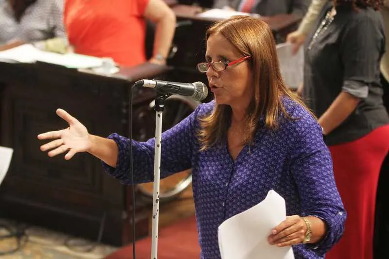 O projeto de lei é de autoria da deputada Lucinha, do PSDB